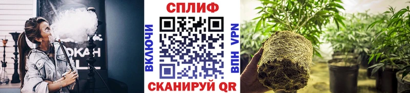 Купить Cocaine Меф мяу мяу A PVP Амфетамин МАРИХУАНА Тайга