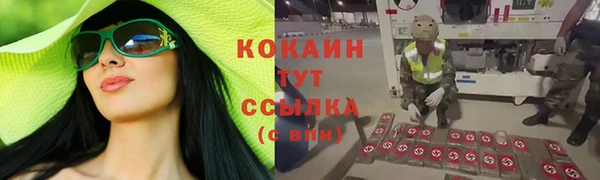 ECSTASY Бородино