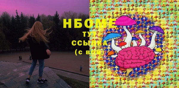 ECSTASY Бородино