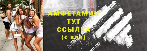ECSTASY Бородино