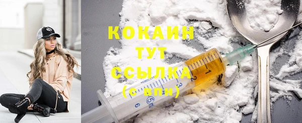 ECSTASY Бородино