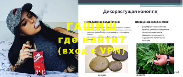 ECSTASY Бородино