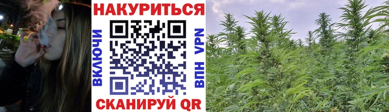 Купить где  Тайга  Конопля VHQ 